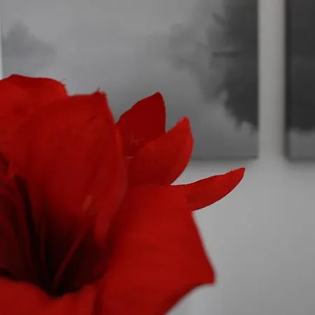 ゲストハウス Cantalupa ローマ