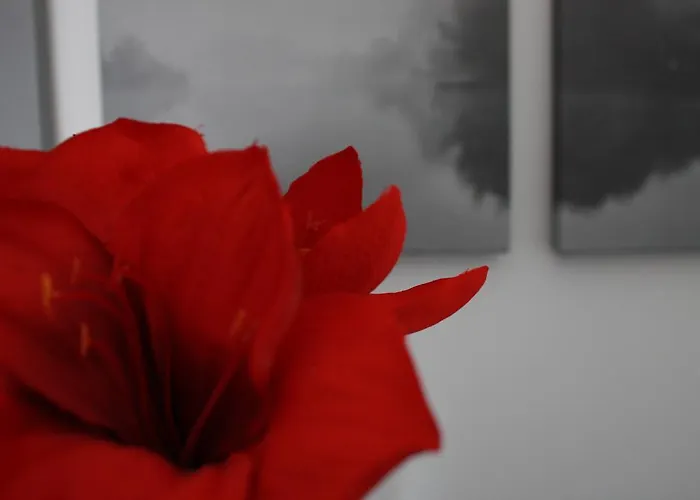 Casa de hóspedes Cantalupa Roma